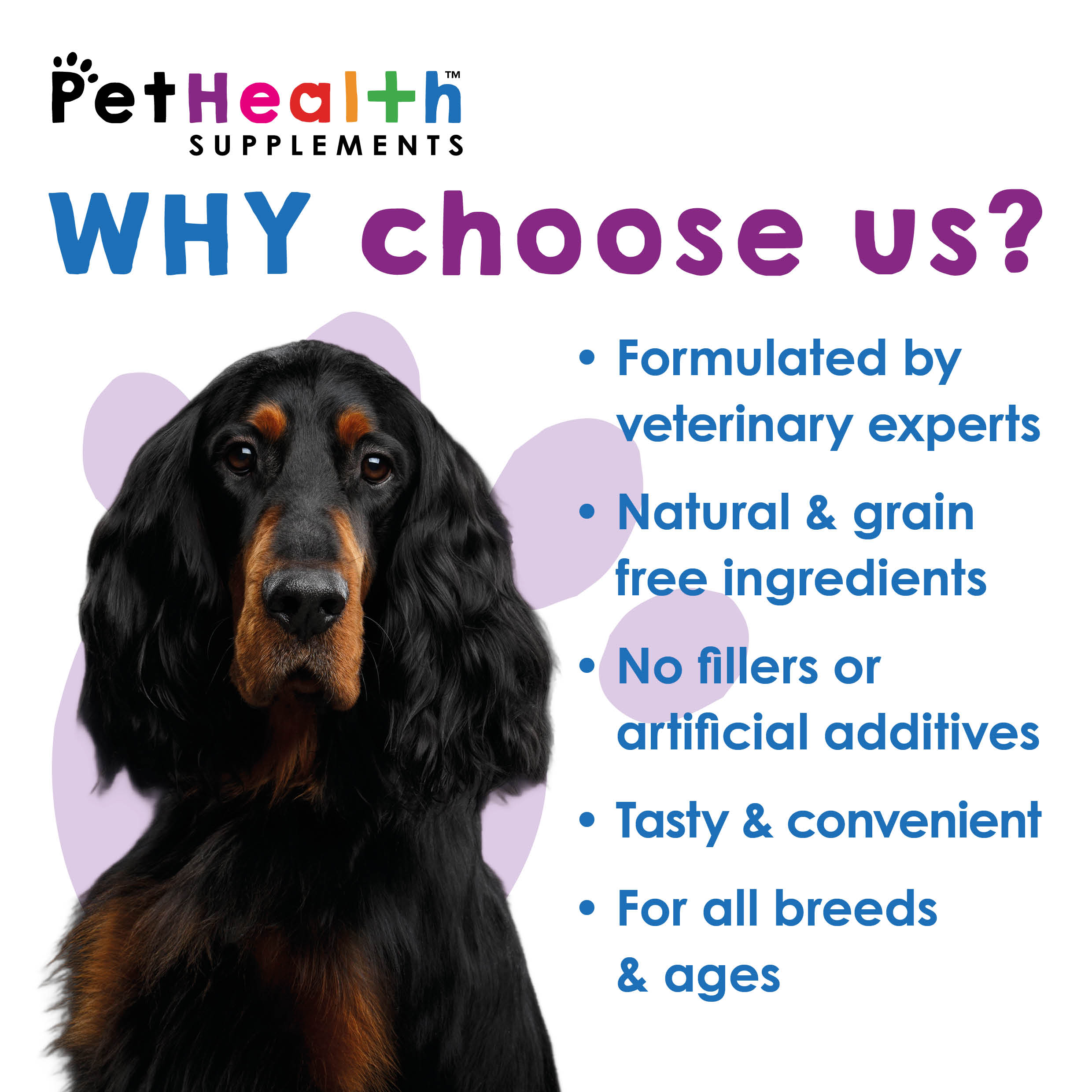 Allergy & Itch Support 60 Soft Chews - Image 4