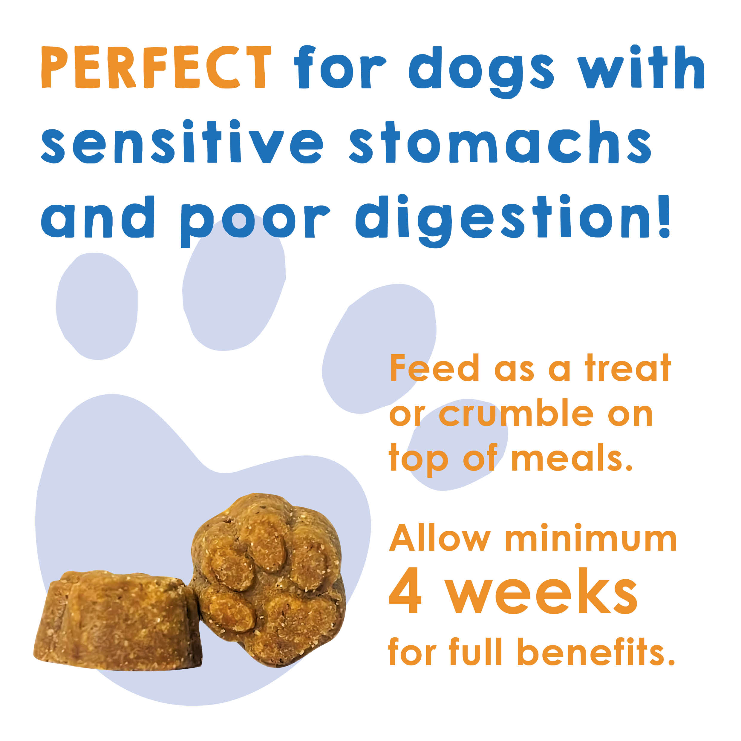 Probiotic Gut Health 60 Soft Chews - Image 6