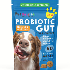 Probiotic Gut Health 60 Soft Chews